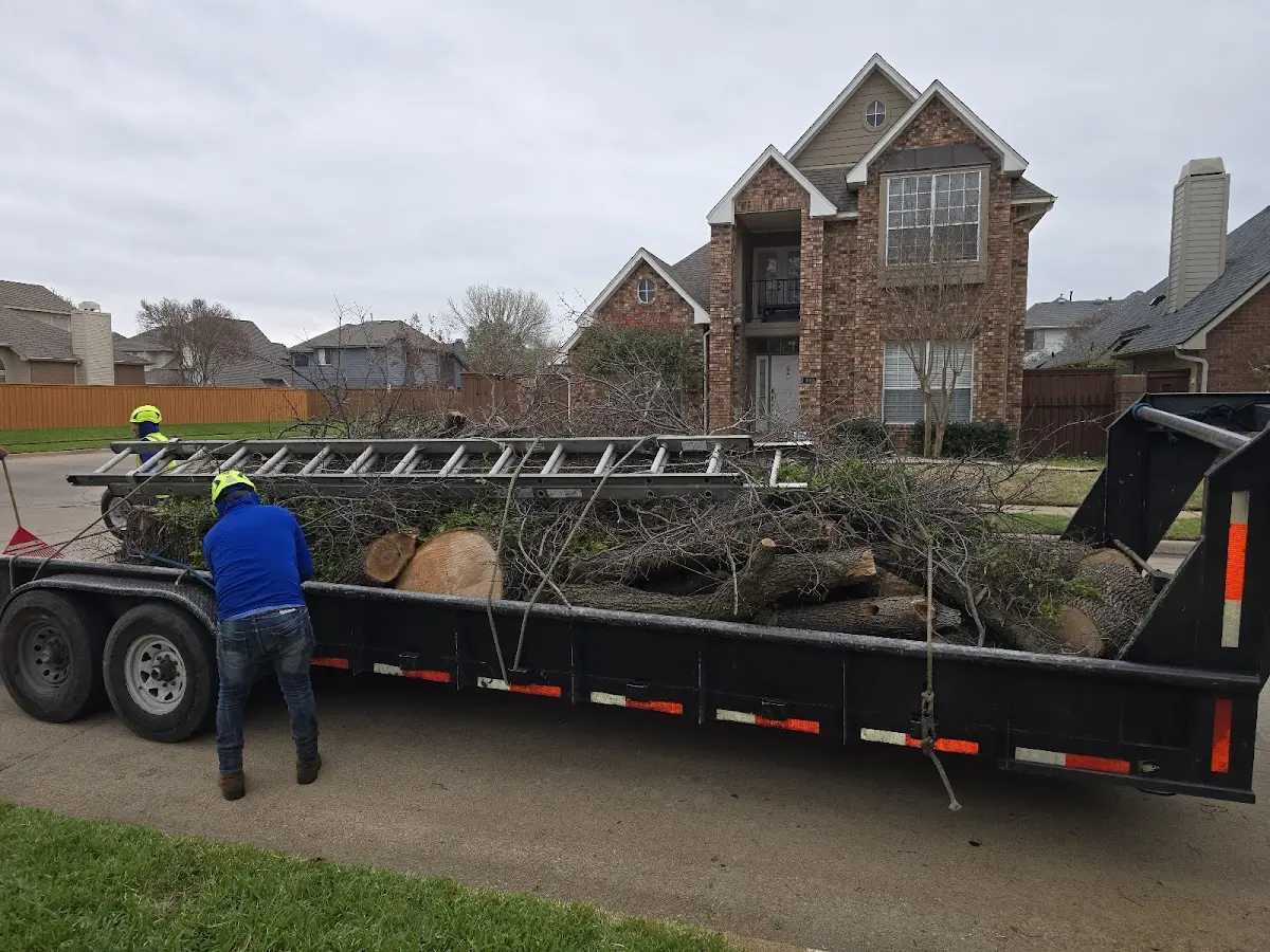 Expert Tree Pest Control with proper safety equipment in Fort Garland